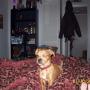 Erica Linderman Photo 3