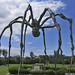 James Bourgeois Photo 30