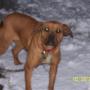 Judy Knowles Photo 19