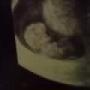 Ray Ball Photo 35