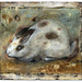 Thomas Webb Photo 34