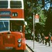 Alexander Crews Photo 11