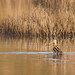 David Snipes Photo 31