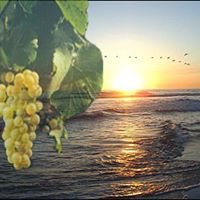 Santo Costa Photo 20