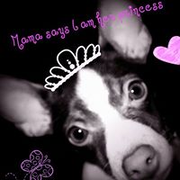 Ruby Faith Photo 11