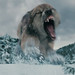 Benjamin Wolf Photo 19
