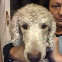 Debra Gagliardi Photo 4