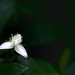 April Griffeth Photo 4