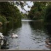 James Lake Photo 39