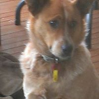 Richard Rand Photo 24