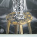 Ann Maccarone Photo 11