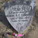 Robert Conard Photo 13