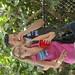 Susan Maddox Photo 15