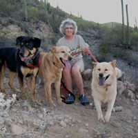 Donna Yoder Photo 23