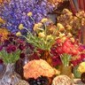 Cheryl Boyd Photo 28