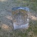 Sylvester Davis Photo 17