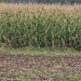 Jennifer Kreis Photo 15