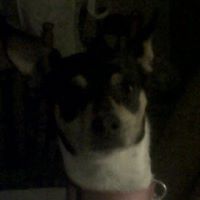 Margaret Rowe Photo 15
