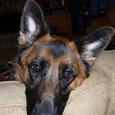 Randall Snider Photo 7