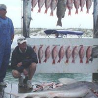 Gary Mercer Photo 35