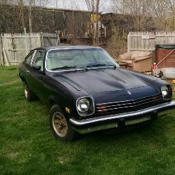 Nolan Alexander Photo 11