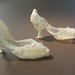 Susan Kimball Photo 25