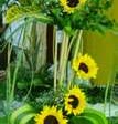 Yolanda Velazquez Photo 41