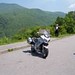 Robert Cantrell Photo 37