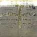 Cynthia Loomis Photo 24