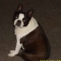 Sharon Loomis Photo 12