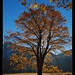 Janice Koch Photo 20