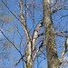 Kay Woods Photo 15