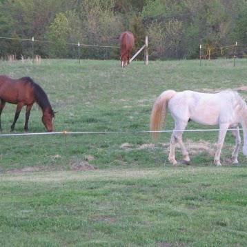 Andrea Nelson Photo 6