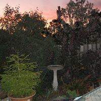 Valerie Jager Photo 11