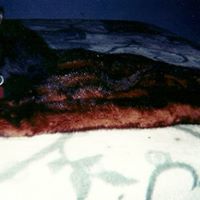 Roberta Greene Photo 21