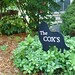 Janice Cox Photo 17
