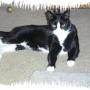 Janet Tilley Photo 9