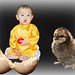 Phuong Dinh Photo 25