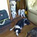 Bonnie Boswell Photo 14