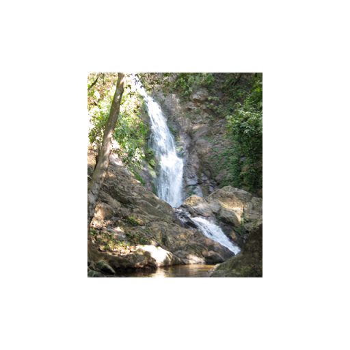 Robert Tripp Photo 31