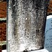 Margaret Shackelford Photo 6