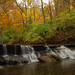 Sharon Wood Photo 19