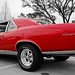 Buddy Rowe Photo 11