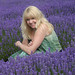 Rosie Woods Photo 14