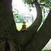 Emily Hendrick Photo 13