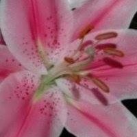 Marcia Winters Photo 24