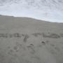 Lisa Huber Photo 46