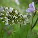 Robert Selbe Photo 10