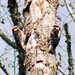 Robin Macgregor Photo 12