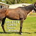 Nyra Robinson Photo 5